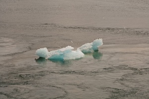 315-9035 Iceberg